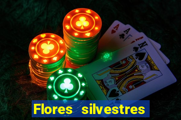 Flores silvestres brasileiras brasileiras flores silvestres nomes e imagens